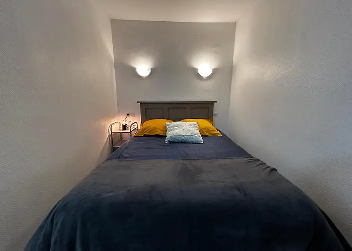 公寓 Cosy Avec Wifi, Jardin, Parking Proche Centre & Thermes - Fr-1-541-191 拉罗什波赛